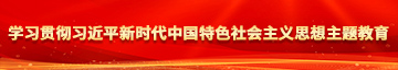 男人插女人逼日日夜夜免费观看学习贯彻习近平新时代中国特色社会主义思想主题教育